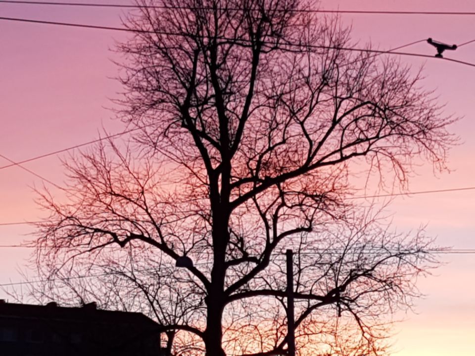 Psykoterapiapalvelu Silja Mäki