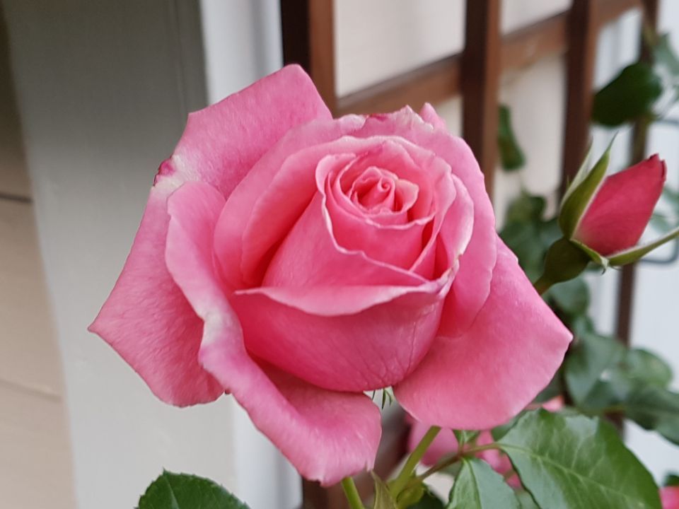 Psykoterapiapalvelu Silja Mäki