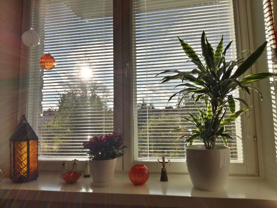 Psykoterapiapalvelu Silja Mäki