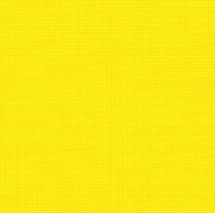 Paljeovi ja Kaihdintuote, Markku Mäenpää Ky