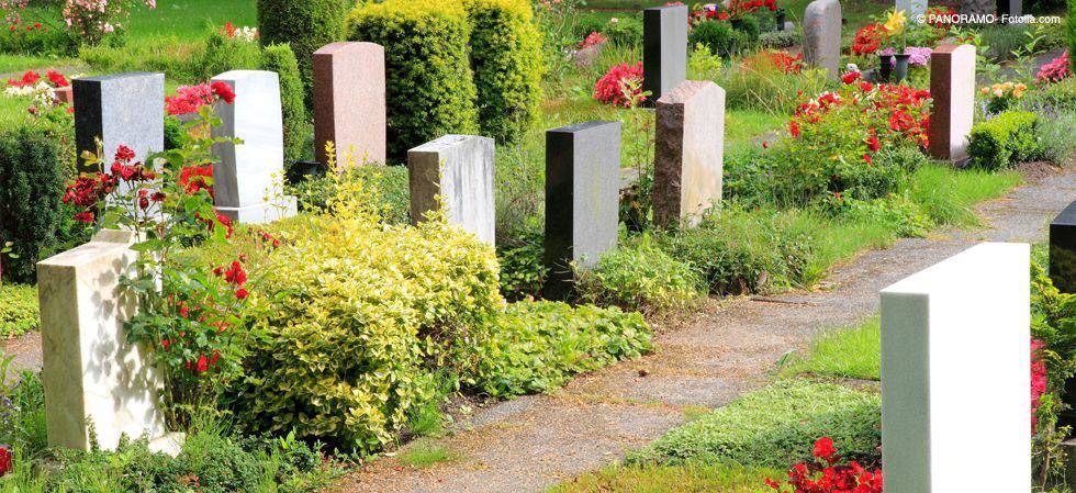 Reihen weisser und grauer Grabsteine auf einem grünen Friedhof mit roten Blumen und einem Weg
