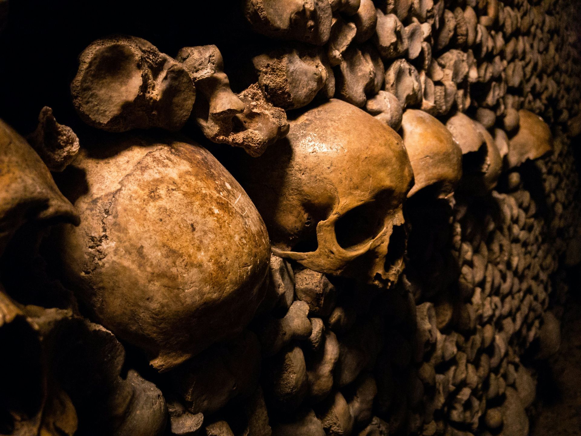 Crânes catacombes