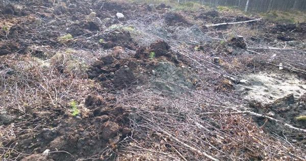 Koneurakointi Joki metsämaasto