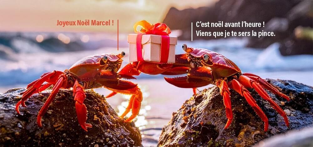 Deux crabes sur des rochers, dont un offre un cadeau au second. Le premier s’exclame : joyeux Noël, Marcel ! Le second lui répond : C’est Noël avant l’heure ! Viens, que je te sers la pince.