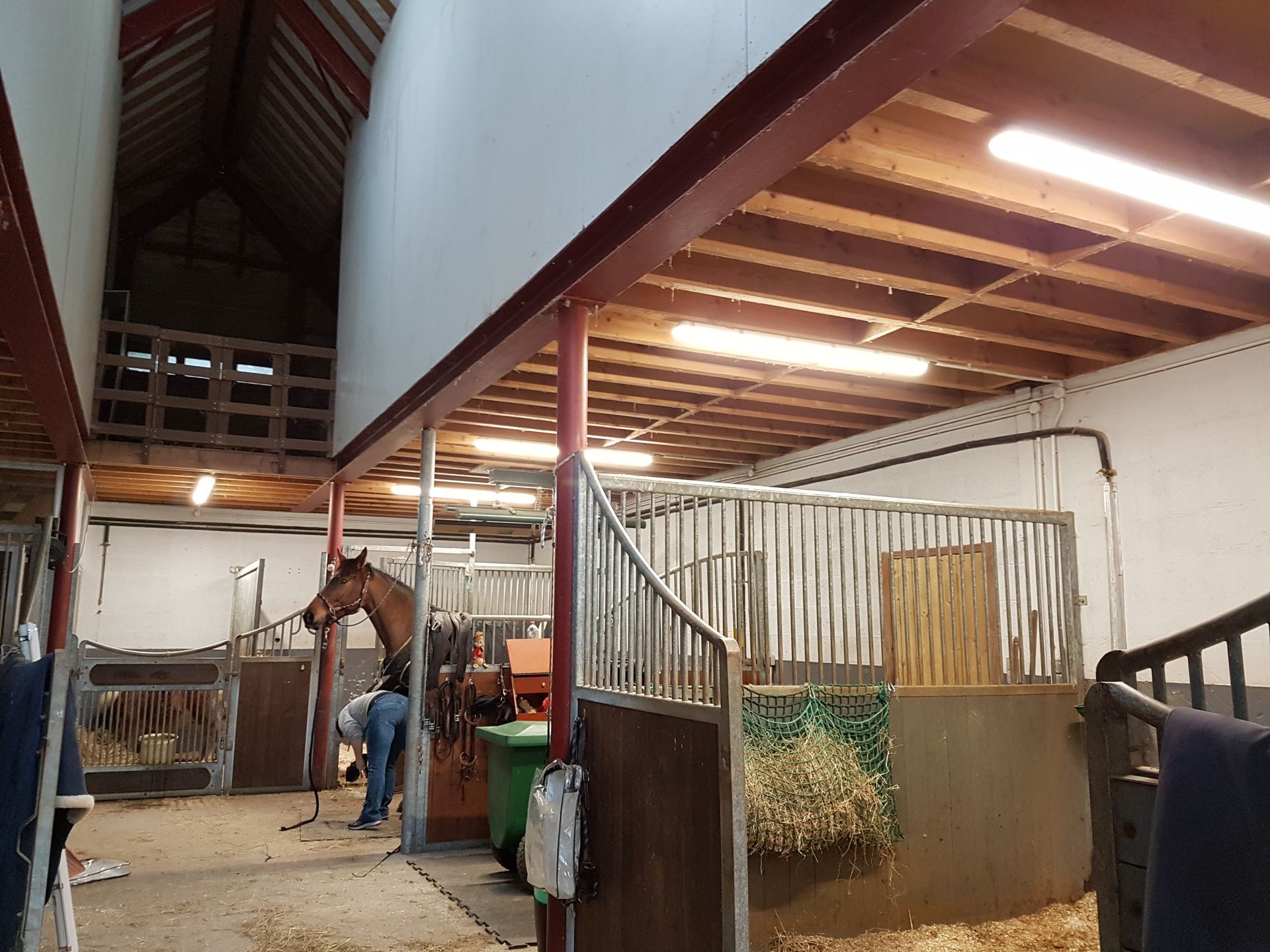 Pose de lampe de box pour chevaux