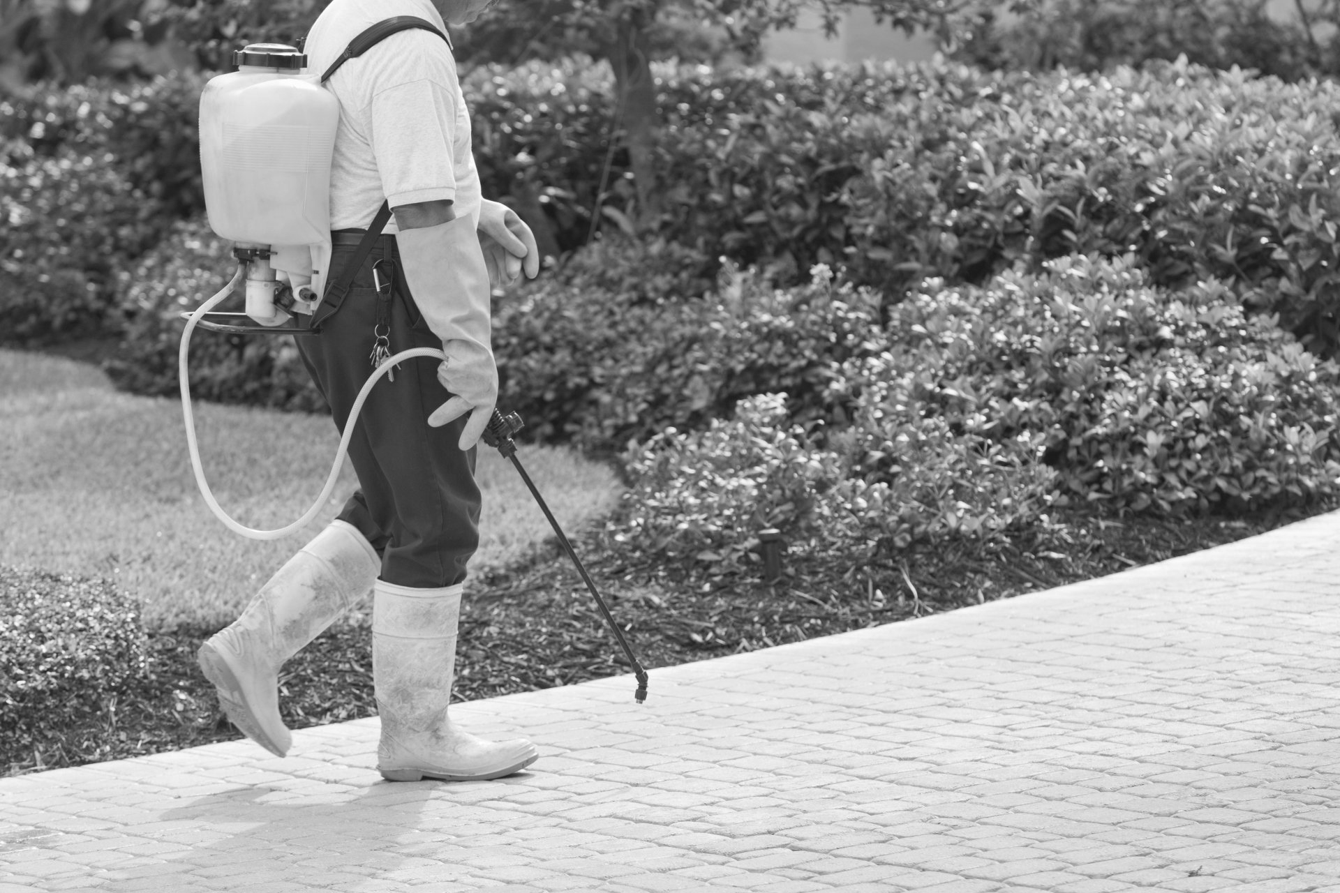Homme qui applique un traitement sur un chemin