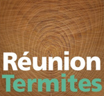 Logo Réunion Termites