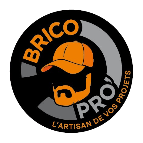 Logo BRICO PRO'