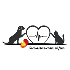 Logo formation secourisme
