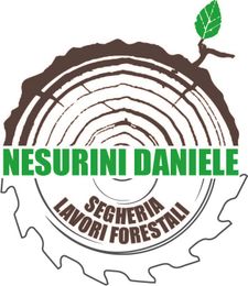 Lavori forestali Ticino - Nesurini Daniele
