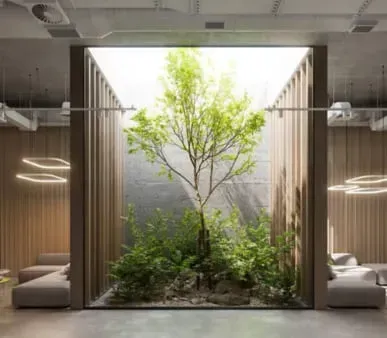 There is a tree in the middle of the room.