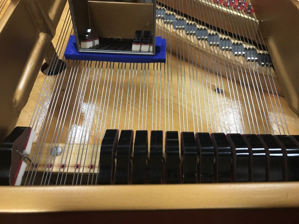 Klavier reperatur