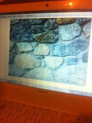 EPG-Nunes - Valais - Construction - Terrassement