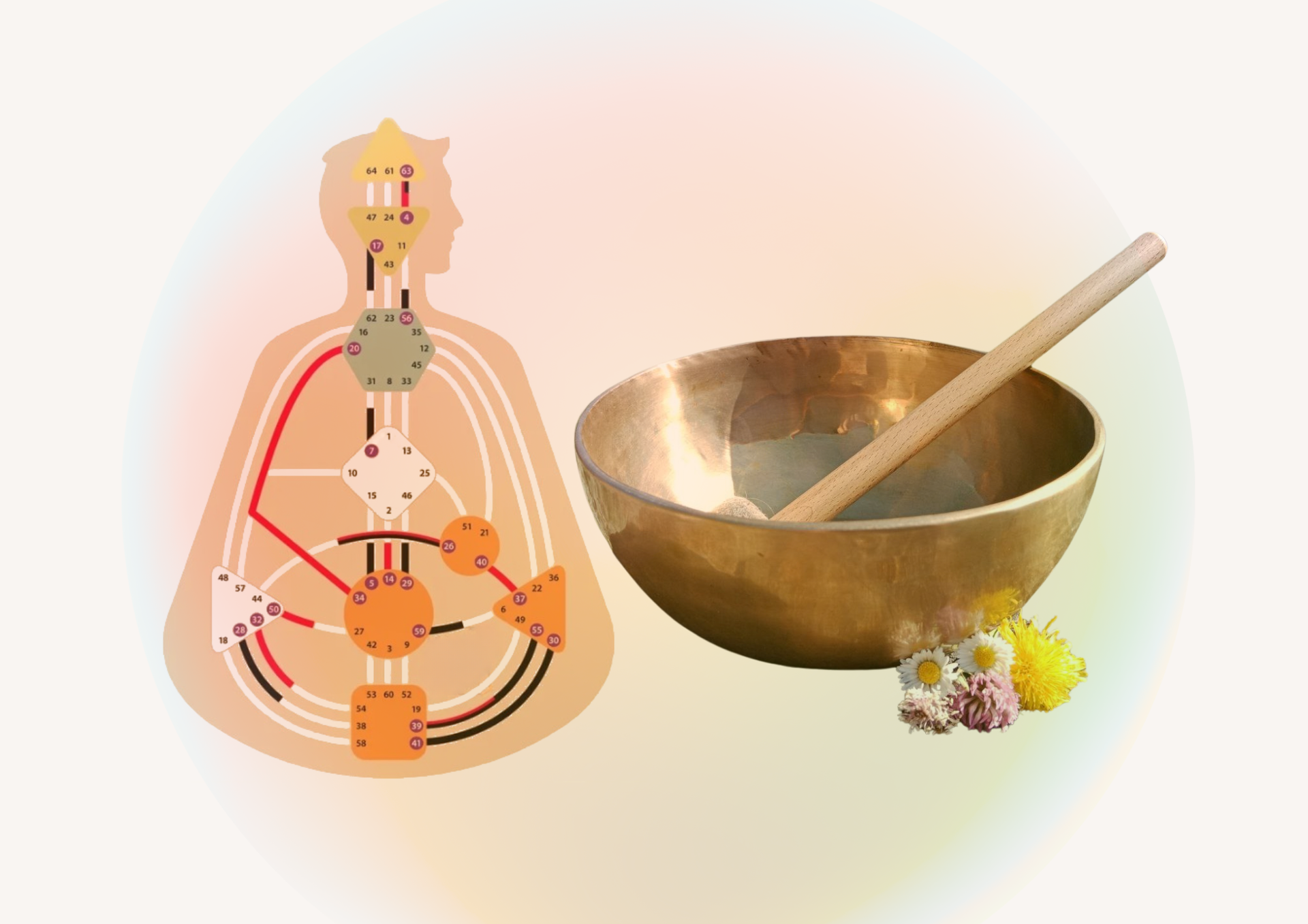 Human Design Gene Keys Ludwigsburg Heilbronn