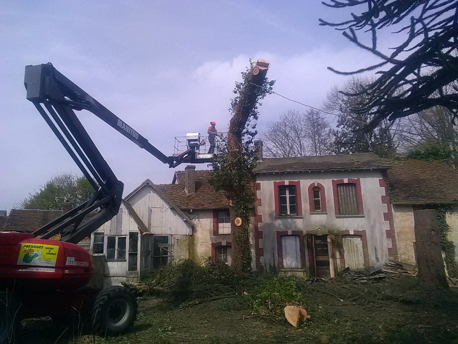 Abattage d'arbre à l'aide d'une nacelle