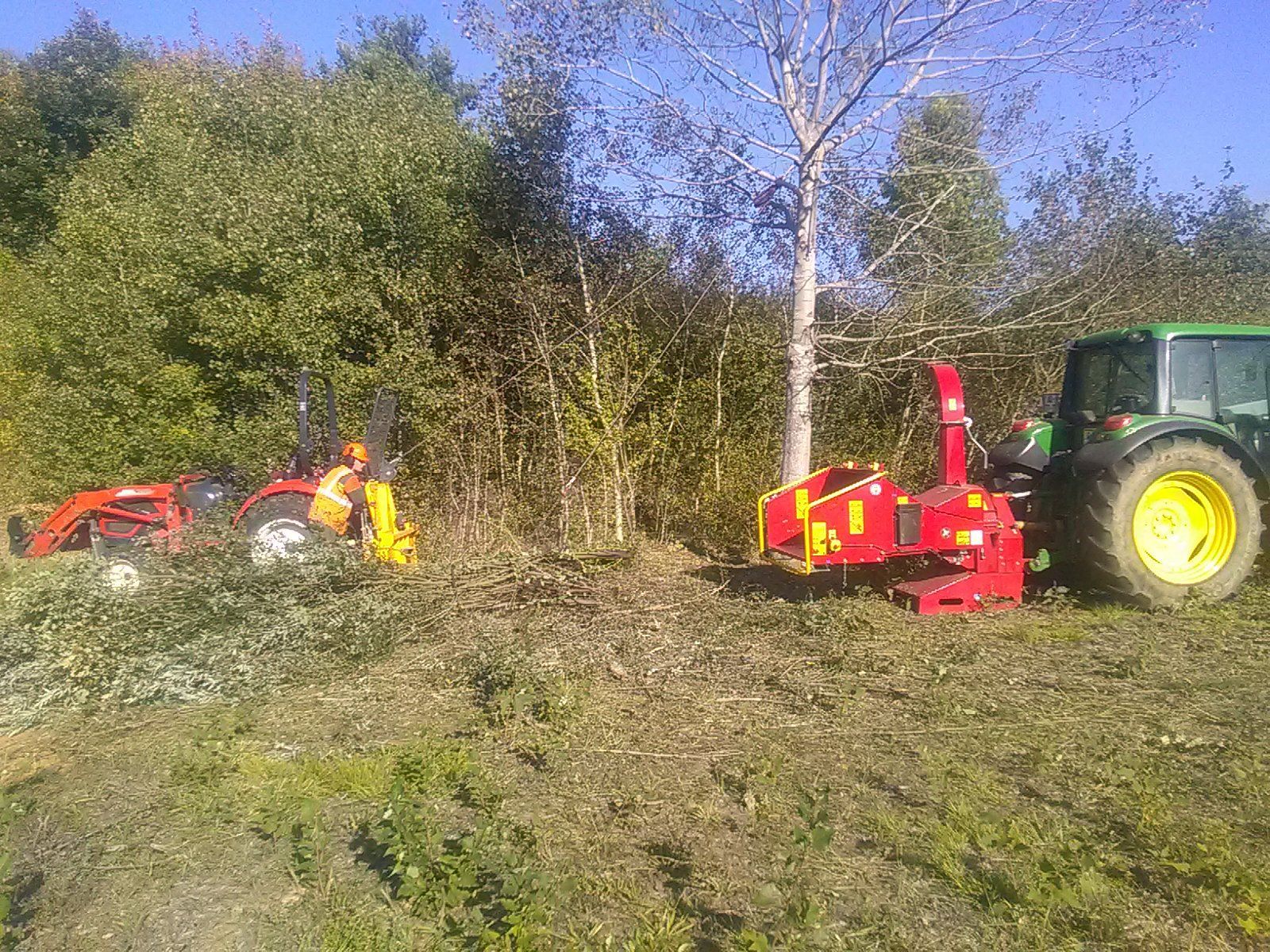 Élagage d'arbre et broyage en copeaux