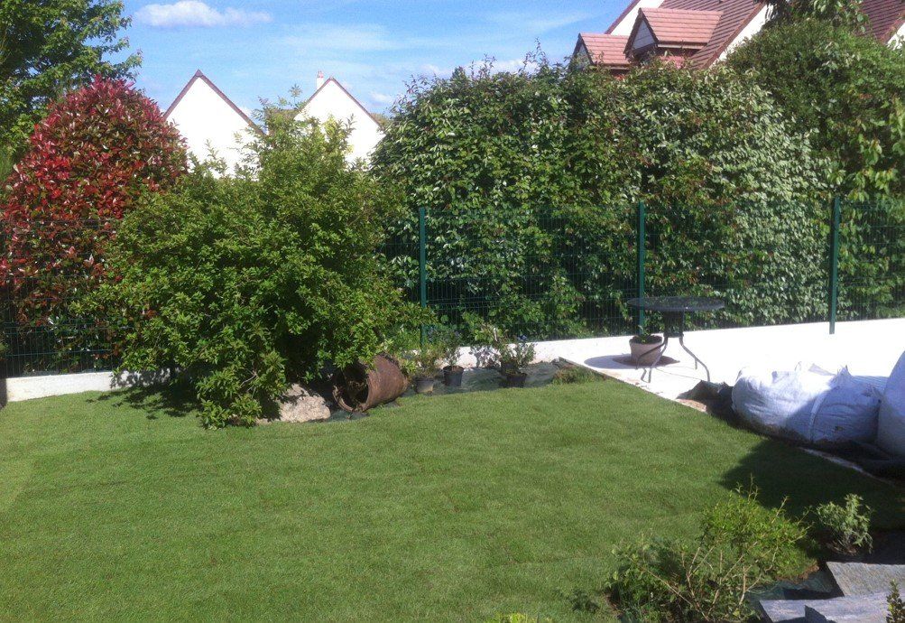 Gazon dans un jardin