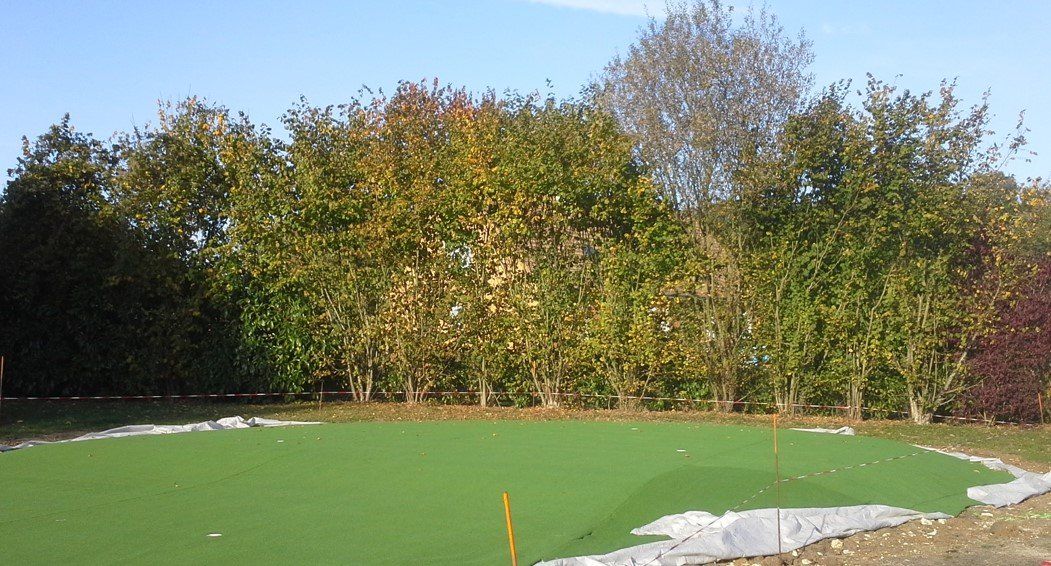 Du gazon dans un grand jardin