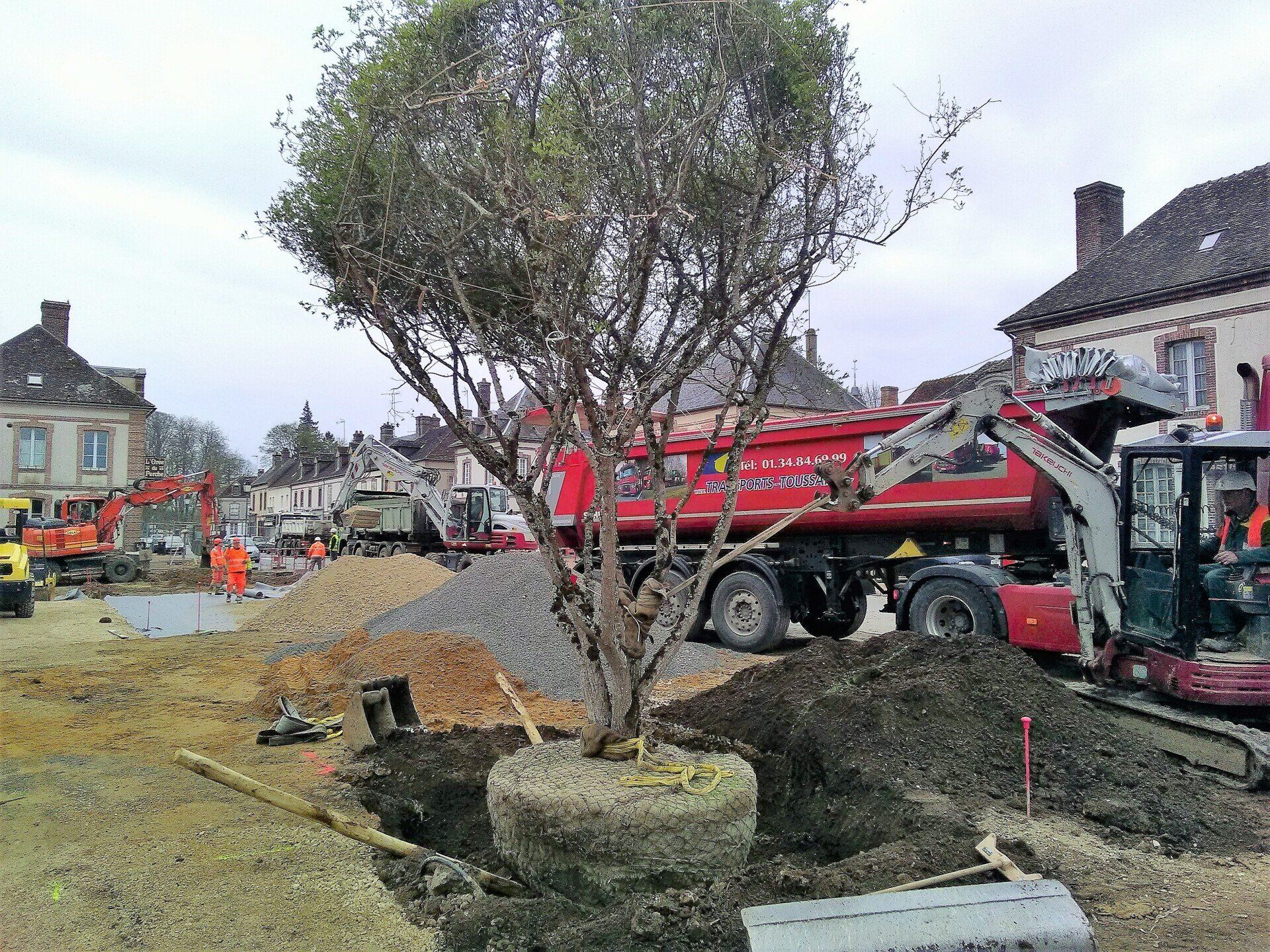 Plantation d'un arbre dans un jardin