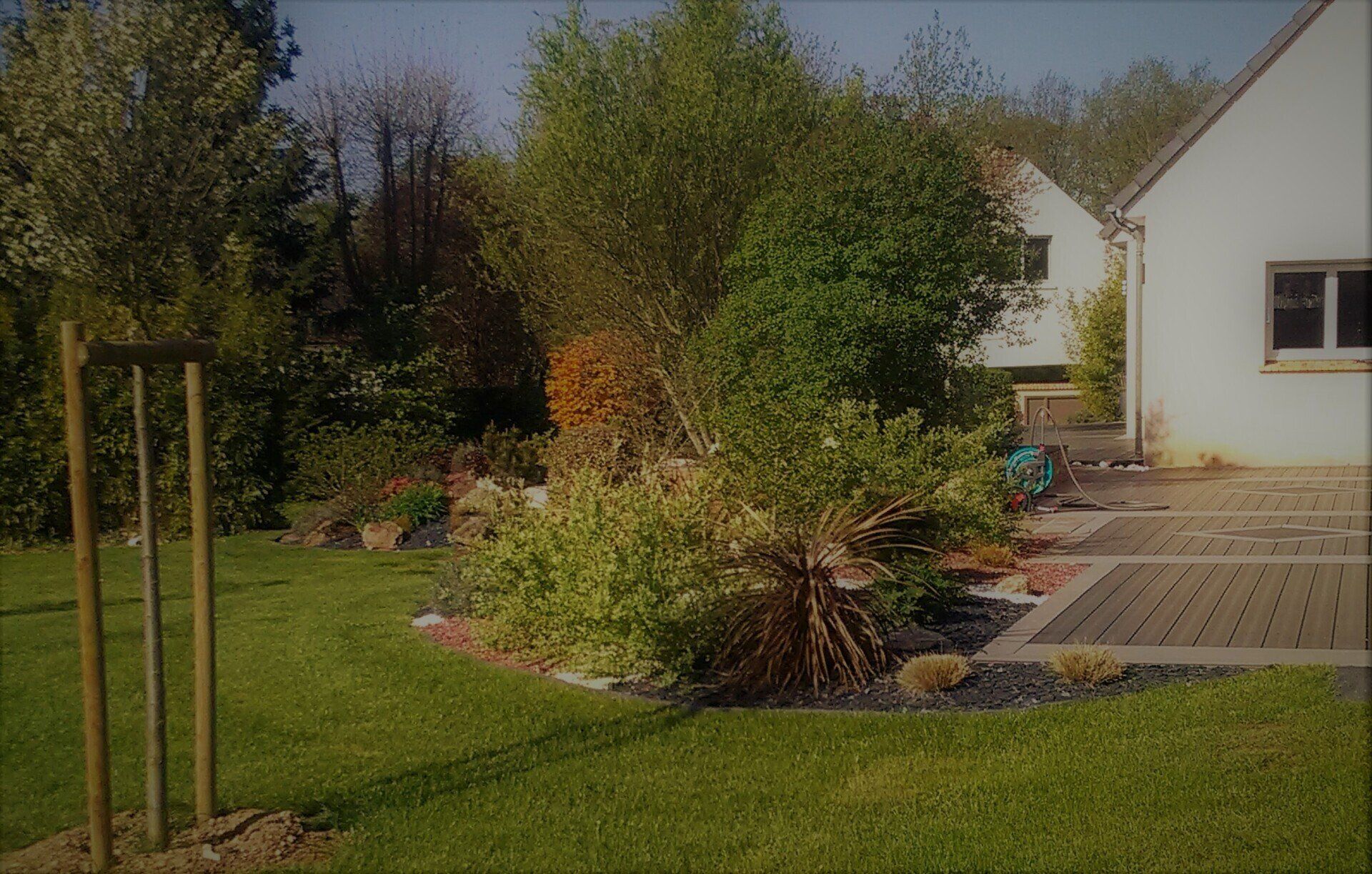 Un jardin aménagé avec des végétaux et des arbustes