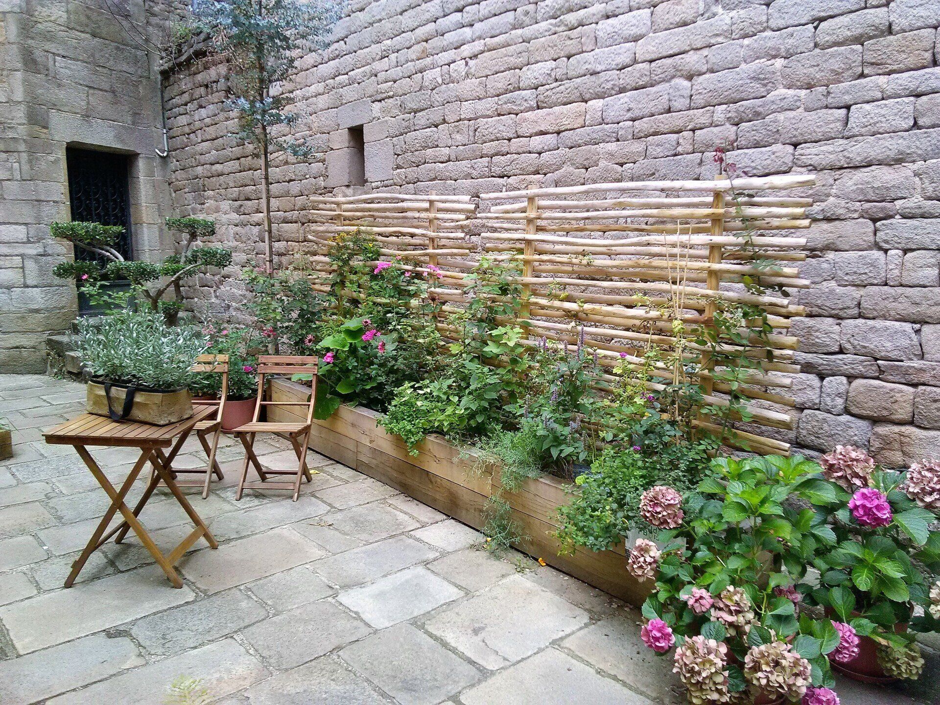 Petites fleurs dans des jardinières
