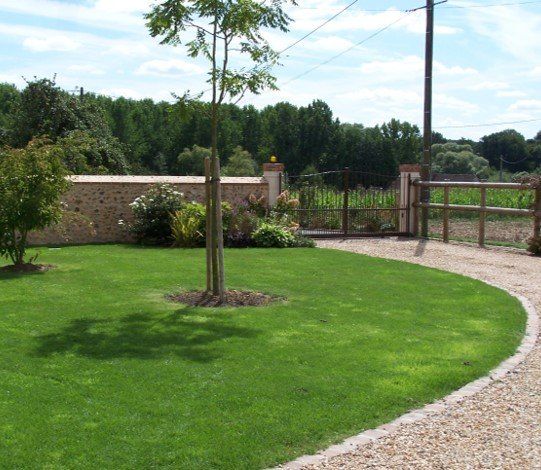 Arbuste fraîchement planté