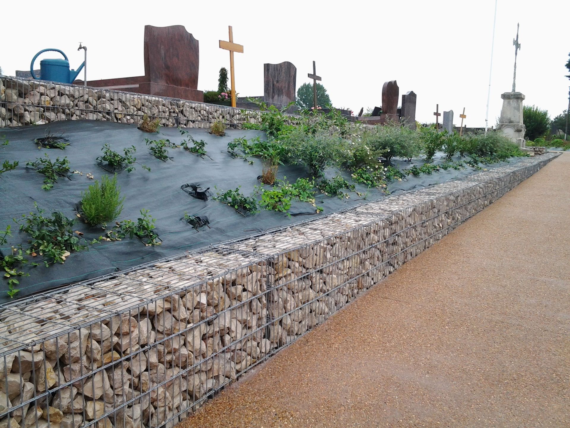 Plantation sur un talus formé à l'aide de gabions