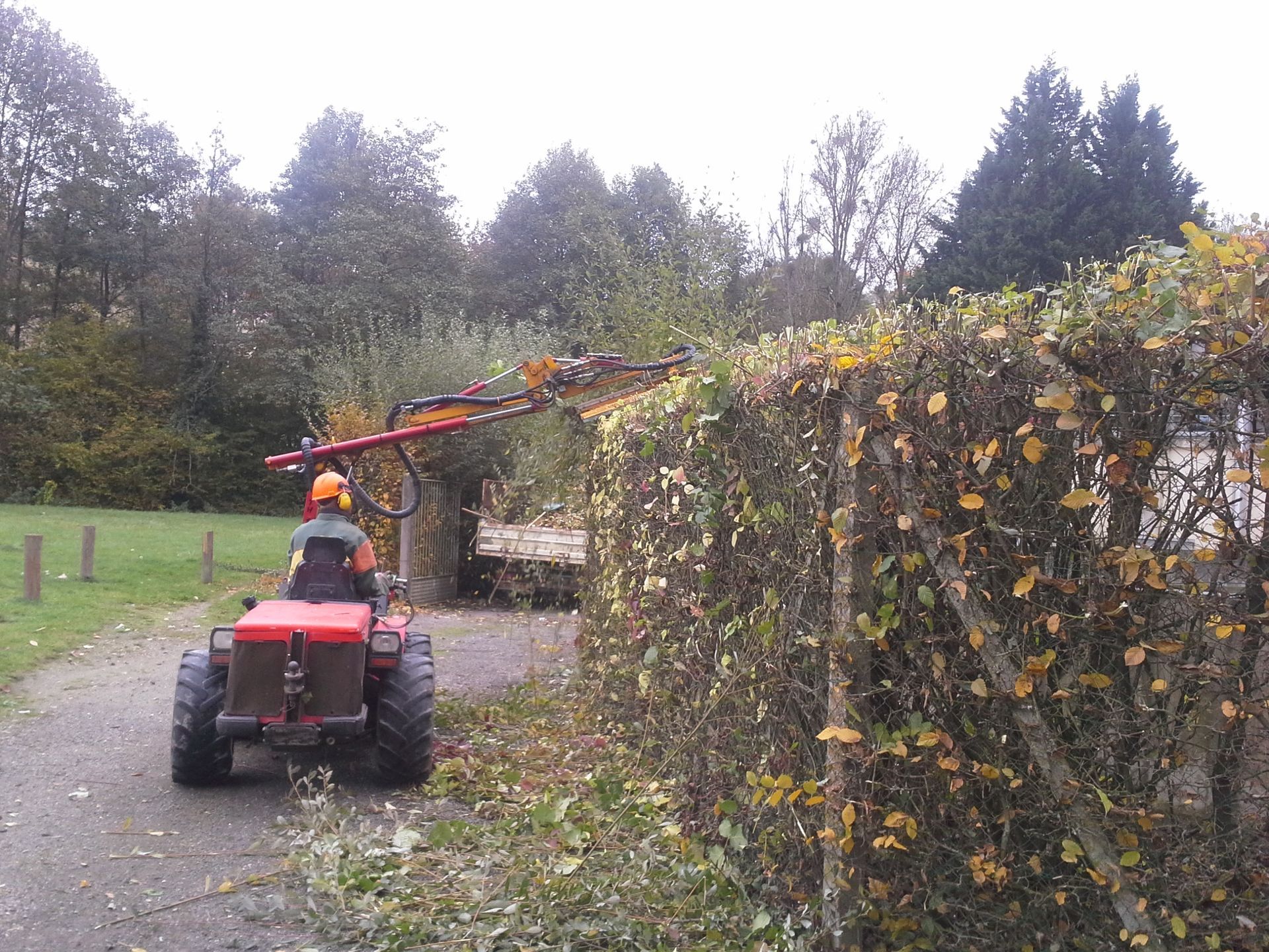 Taille d'une haie au lamier
