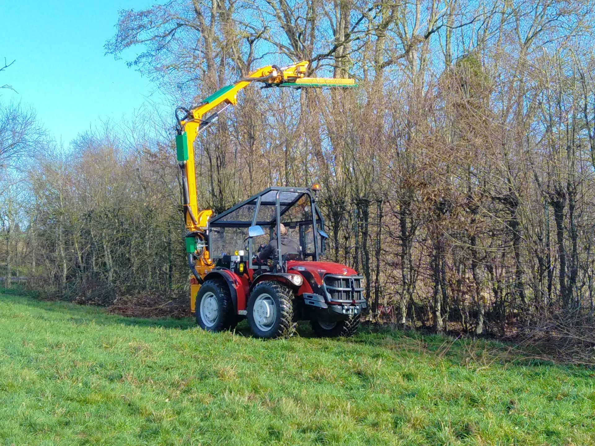 Taille d'arbre au lamier