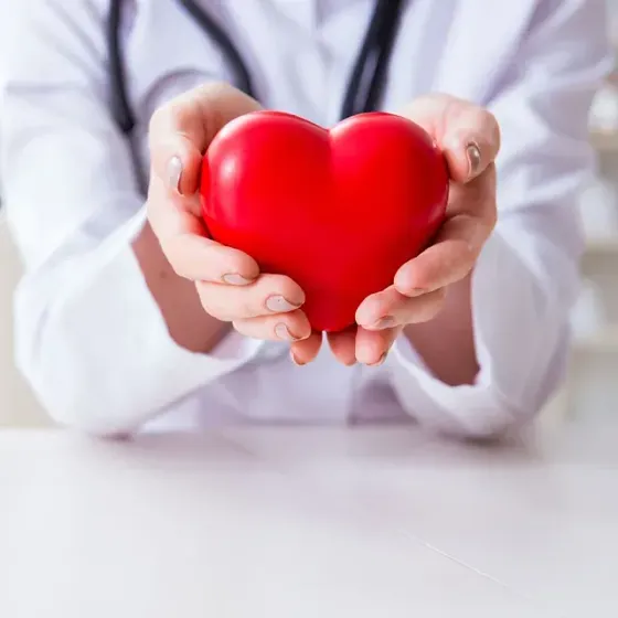 Un médico sostiene un corazón rojo en sus manos.