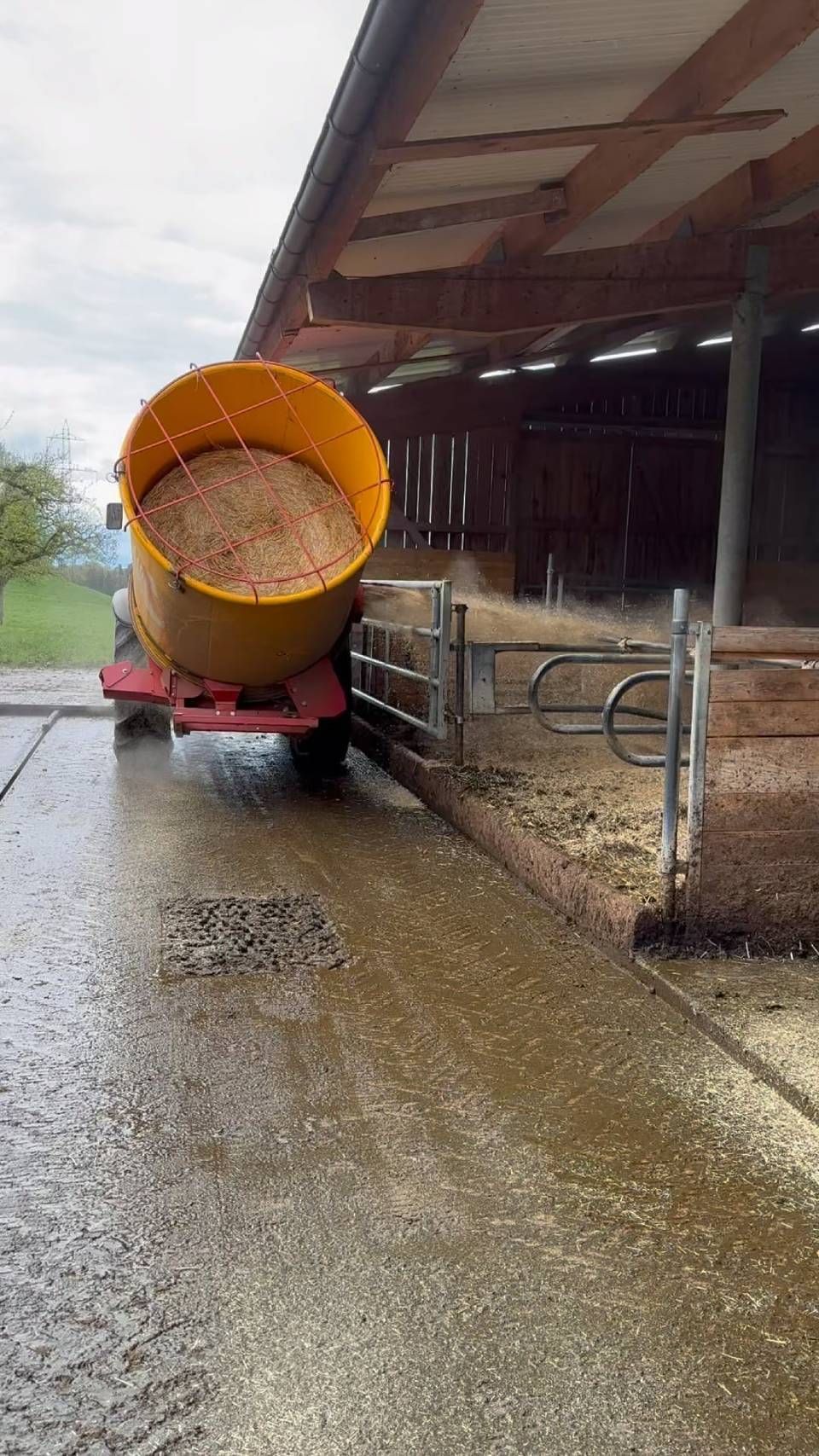 In einer Scheune wird ein gelbes Fass auf einen Anhänger geladen. Foto von Müller-Beef