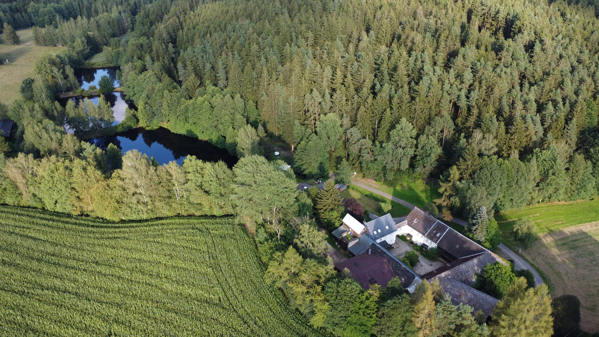 Drohnenausnahme eines Hofes bei einem Wald