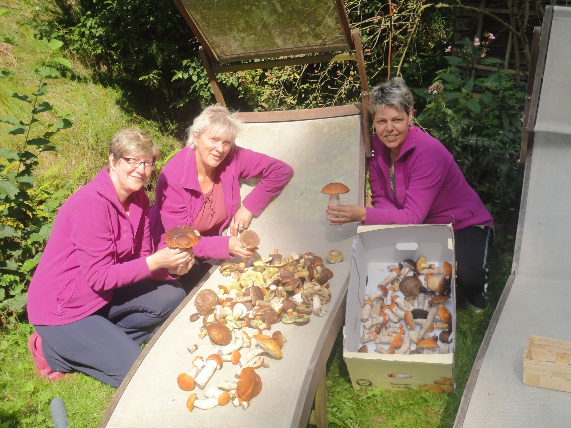 3 Frauen beim Pilze sammeln