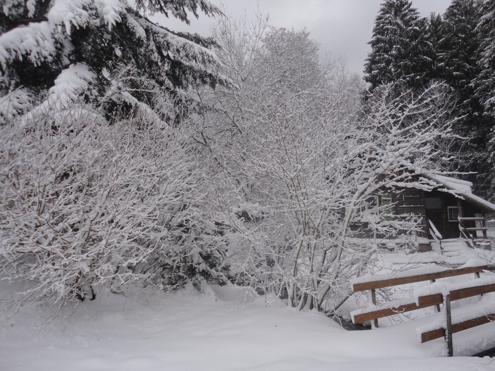 Blockhütte im verschneiten Wald