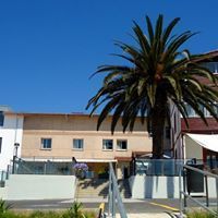 Edificio con palmera, cielo azul brillante.