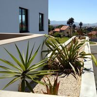 Vista exterior de un edificio blanco moderno con grandes ventanales y una jardinera de hormigón llena de plantas y grava.