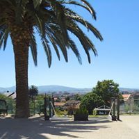 Una palmera domina un pueblo con montañas distantes contra un cielo azul.