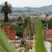 Palmera y plantas sobre una estructura de ladrillo con una ciudad y colinas al fondo.