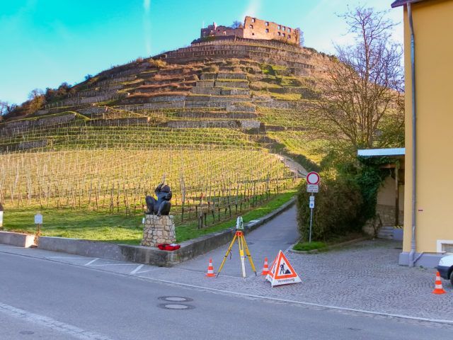 Mit rosa und grüner Sprühfarbe markierte Holzpfähle, die für den Bau im Freien verwendet werden.