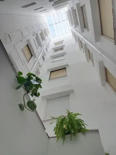 Al mirar hacia arriba, se ve un atrio blanco con grandes ventanales y plantas verdes colgantes.