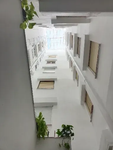 Vista interior de un patio interior blanco con balcones y plantas en macetas, visto desde abajo.