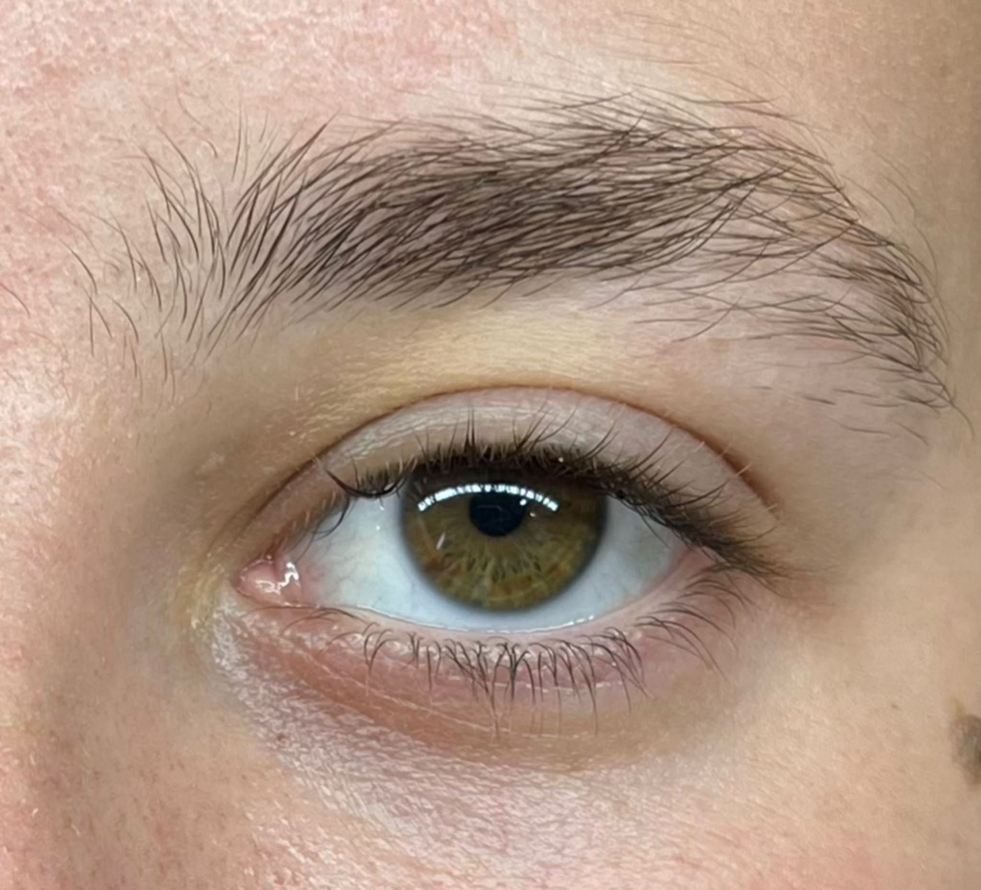Primer plano de un ojo marrón con una ceja natural y un fondo de piel clara.