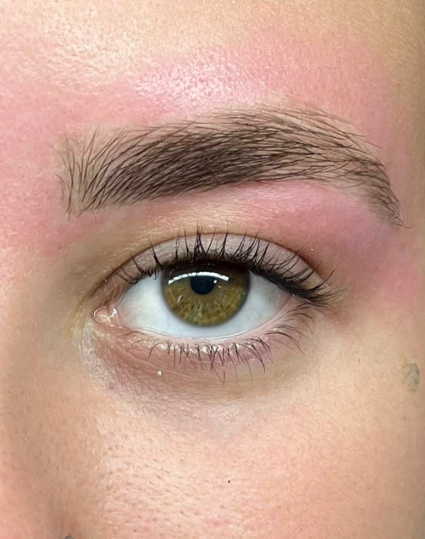 Primer plano de un ojo con la ceja rellena y un sutil maquillaje de ojos rosa.