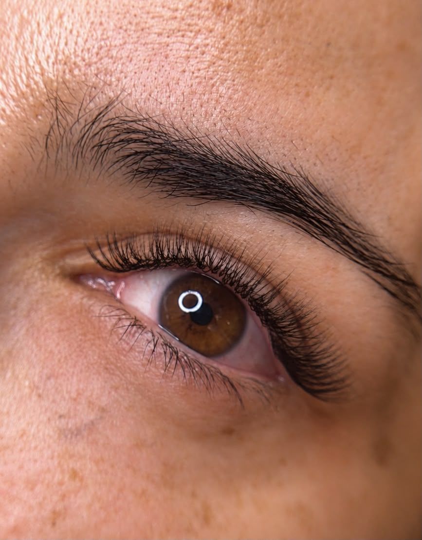 Primer plano de un ojo marrón con reflejo visible y ceja oscura.