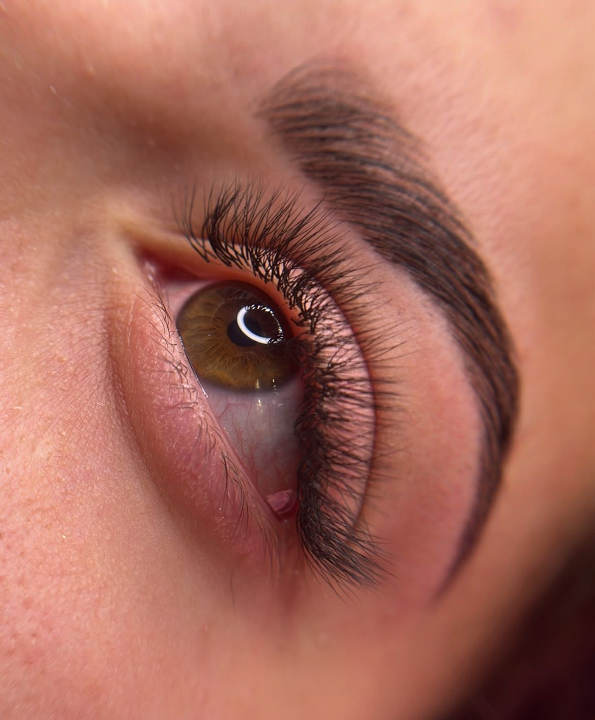 Primer plano de un ojo marrón con pestañas largas y cejas bien definidas.
