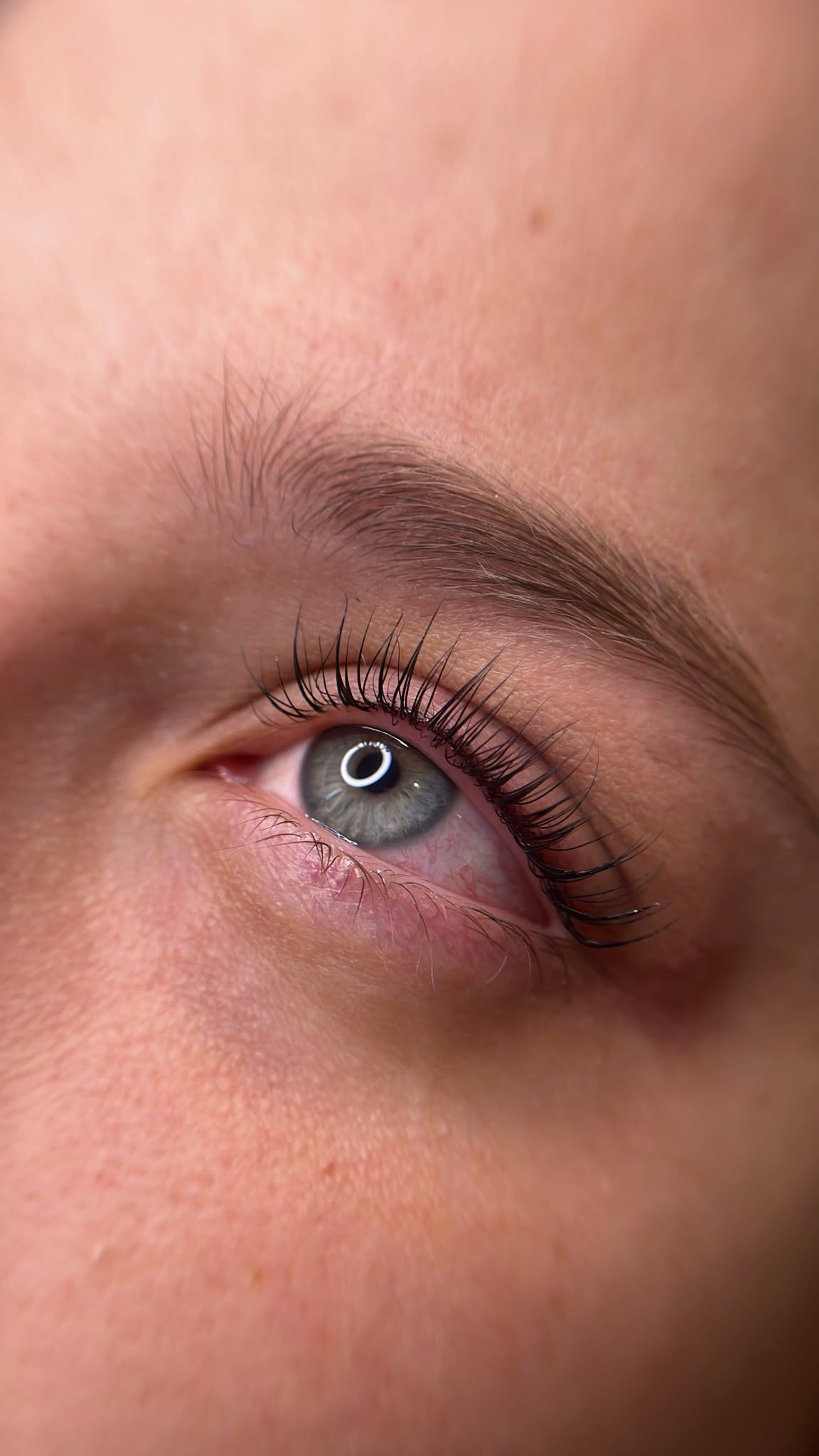 Primer plano de un ojo azul con pestañas largas y una ceja castaña sobre piel clara.