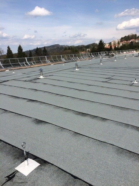 Wild + Treichler AG|St. Gallen