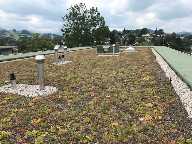 Wild + Treichler AG|St. Gallen