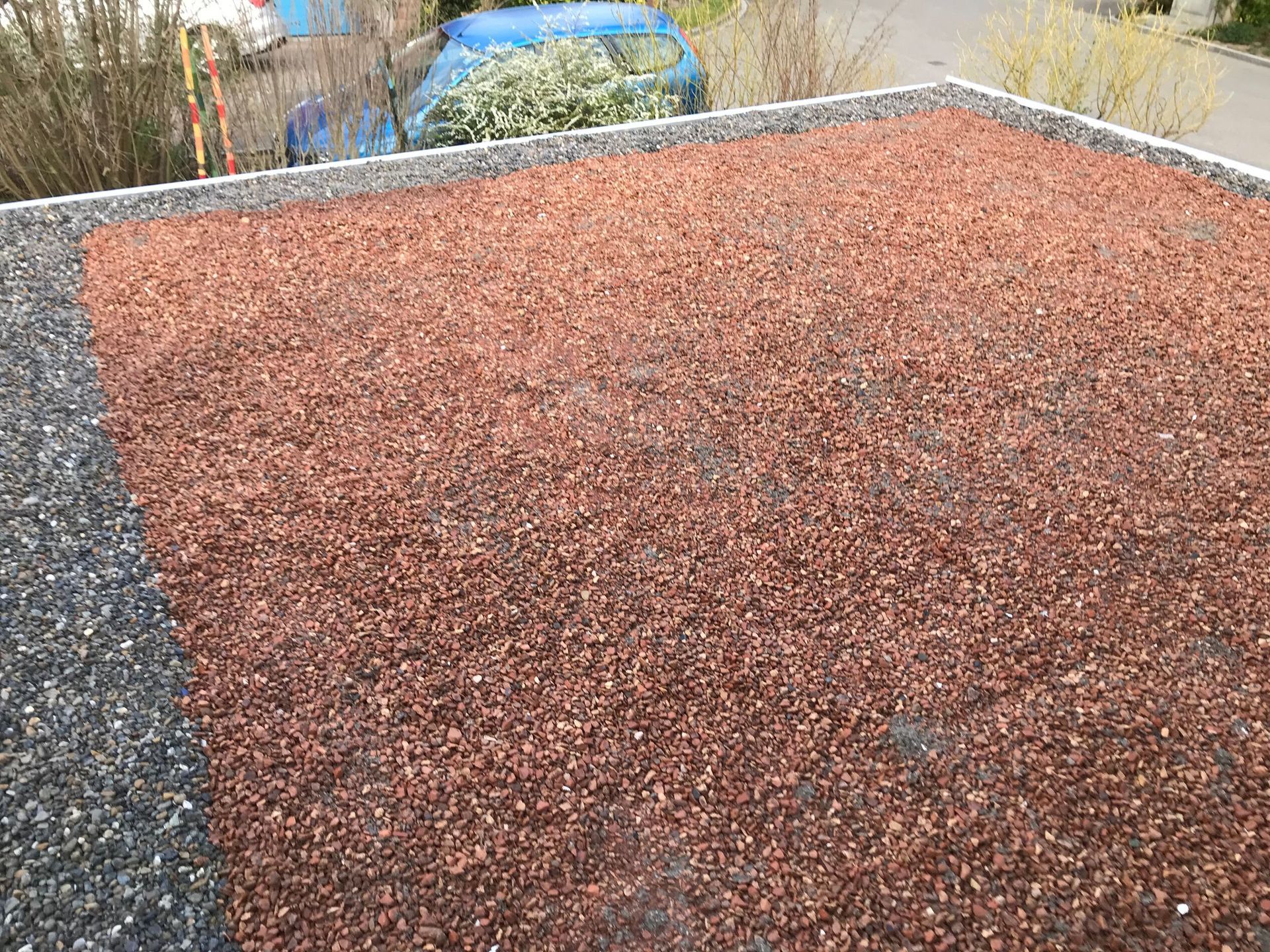 Wild + Treichler AG|St. Gallen