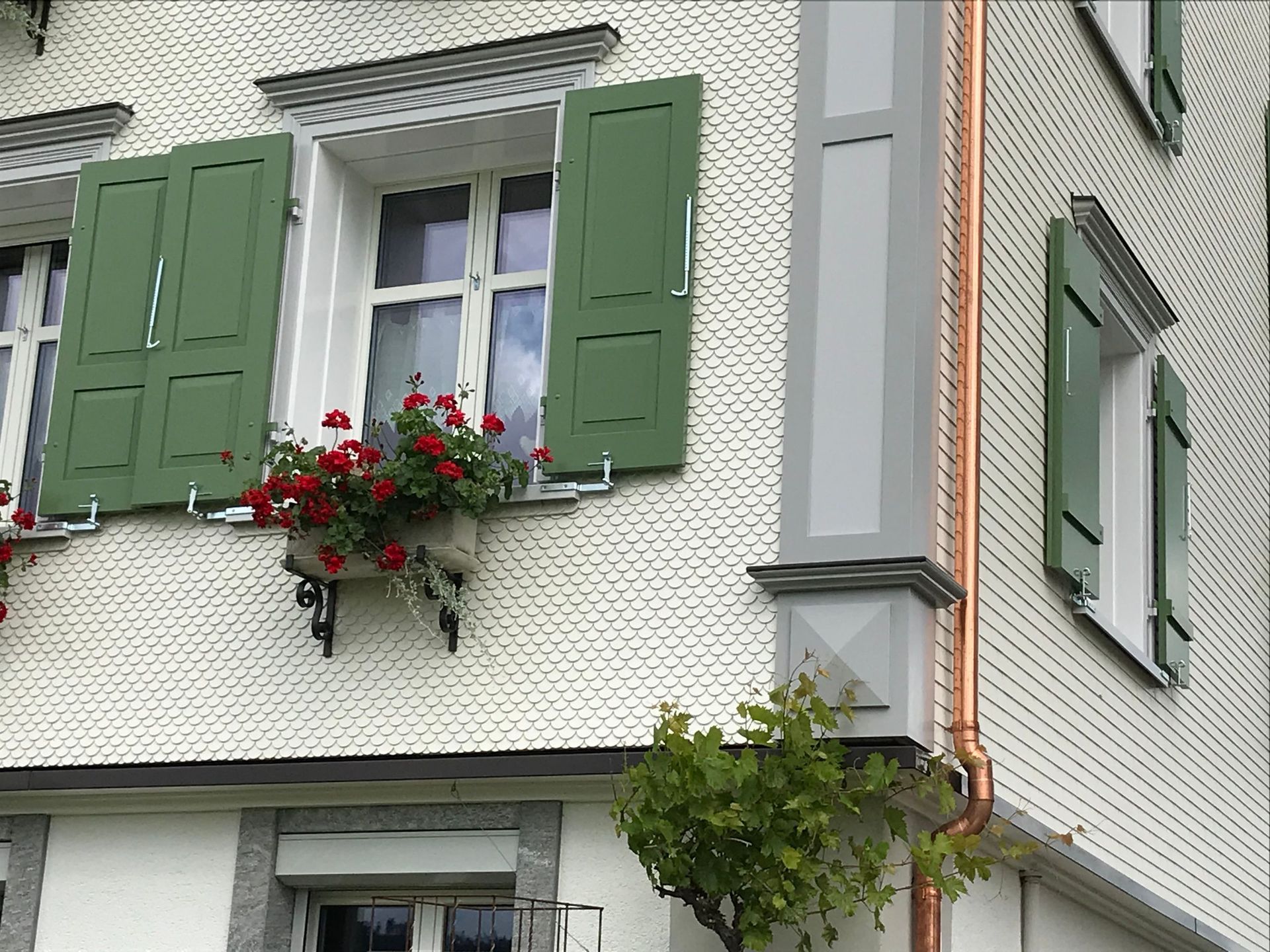 Wild + Treichler AG|St. Gallen